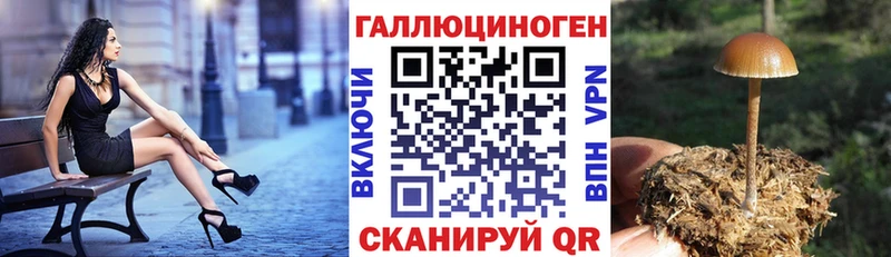 Псилоцибиновые грибы мухоморы  сайты даркнета официальный сайт  Болохово 